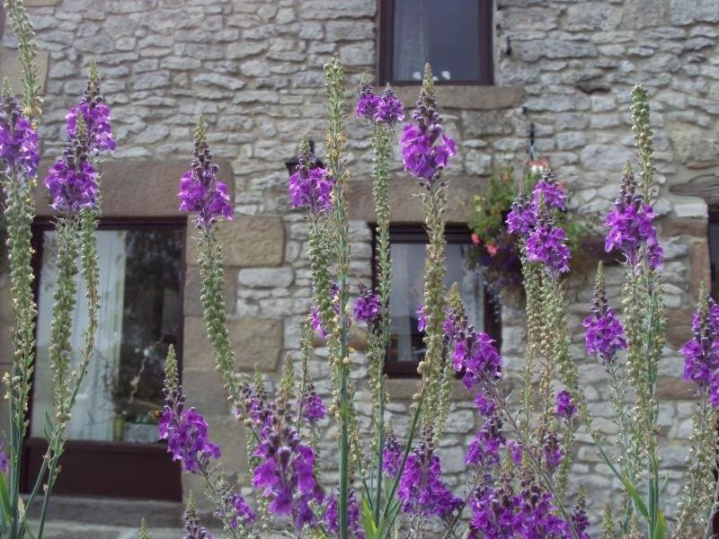 Apartament Old Coach House Matlock  Zewnętrze zdjęcie